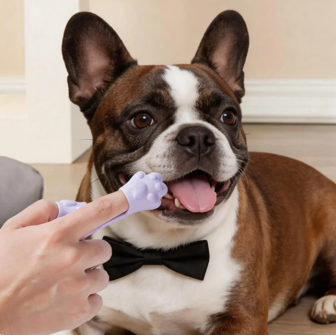 Dog Finger Toothbrush for Pets – Soft Silicone Tooth Cleaning Brush for Dogs & Cats Oral Care-French Bulldog — Pet Supplies